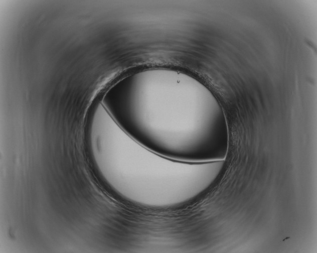 X0000097870488200803140921