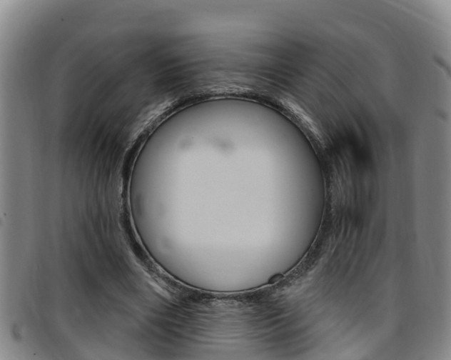 X0000097870490200803140921