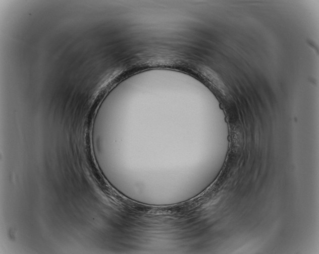 X0000097870491200803140921