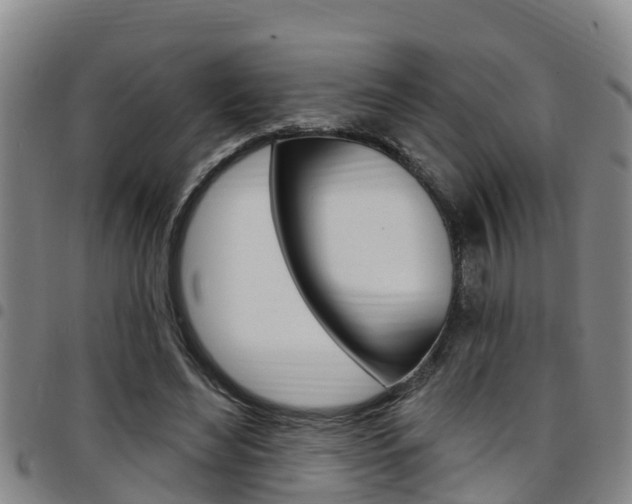 X0000097870492200803140921