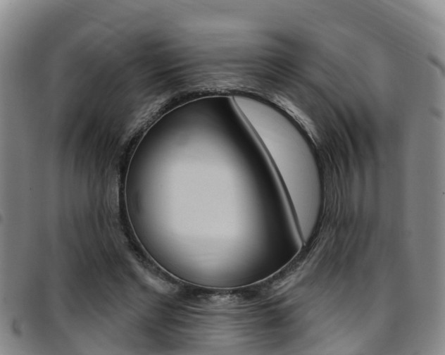 X0000097870493200803140921