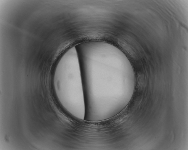 X0000097870494200803140921