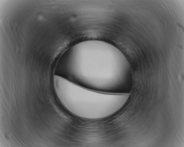 X0000097870496200803140921