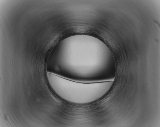 X0000097870497200803140921