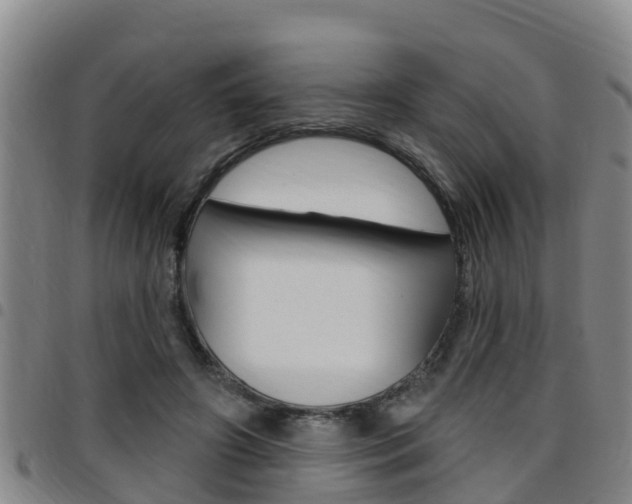 X0000097870498200803140921