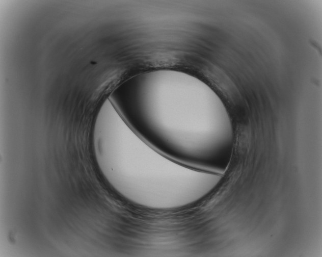 X0000097870501200803140921