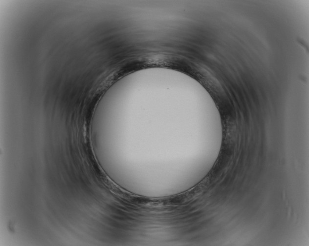 X0000097870502200803140921
