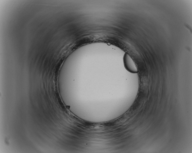 X0000097870506200803140921