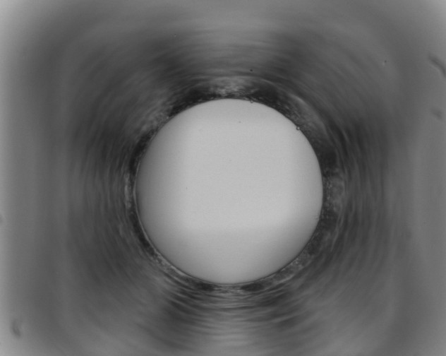 X0000097870510200803140921