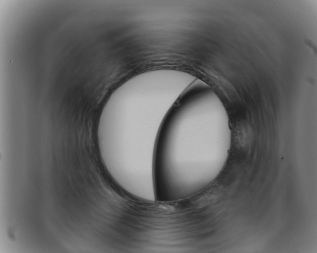 X0000097870512200803140921
