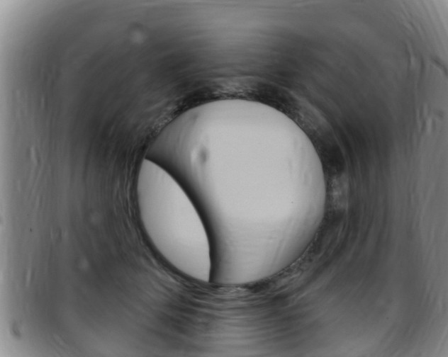 X0000097870514200803140921