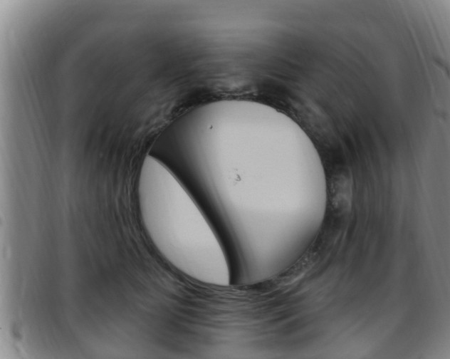 X0000097870515200803140921
