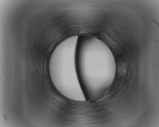 X0000097870516200803140921