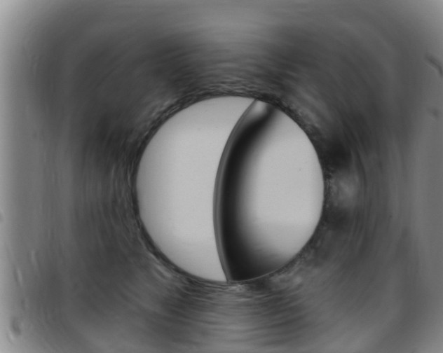 X0000097870517200803140921