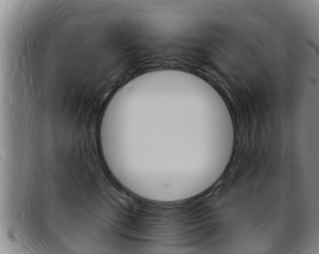 X0000097870520200803140921