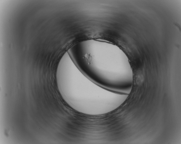 X0000097870521200803140921