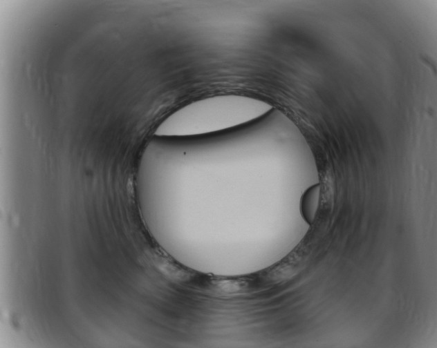 X0000097870522200803140921