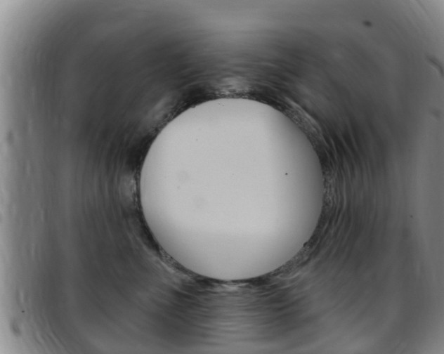 X0000097870523200803140921