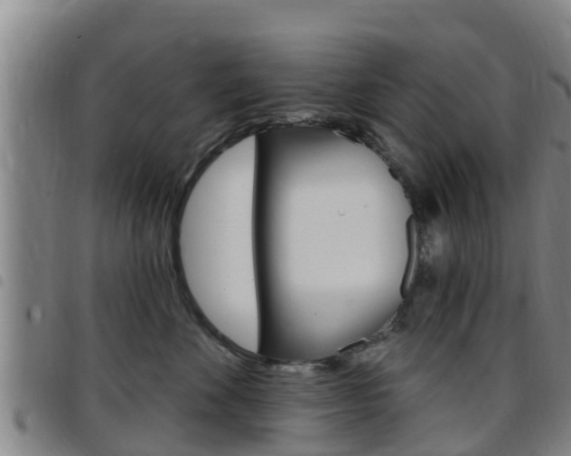 X0000097870524200803140921