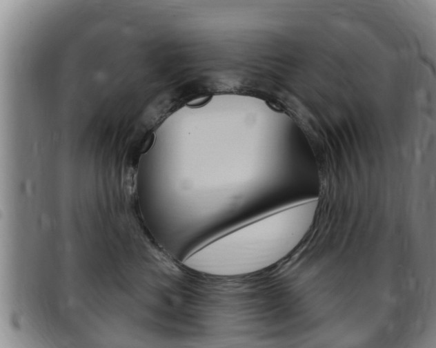 X0000097870525200803140921