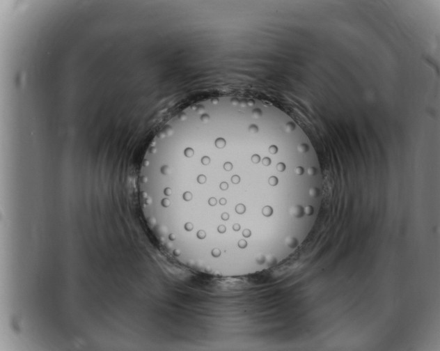 X0000097870527200803140921