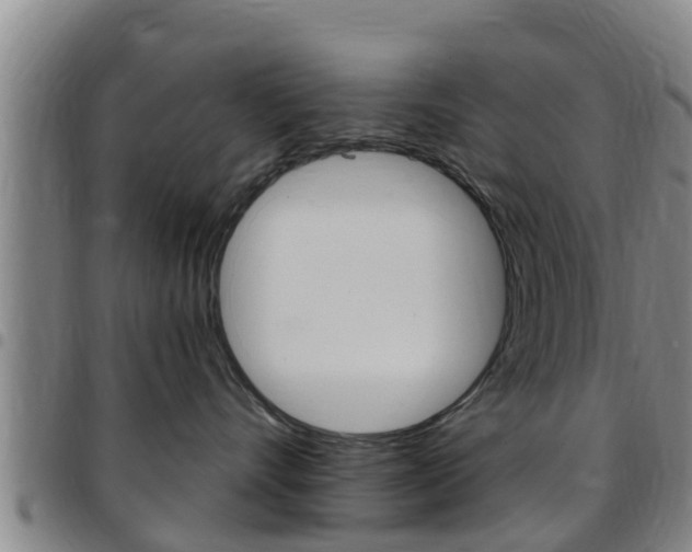 X0000097870528200803140921