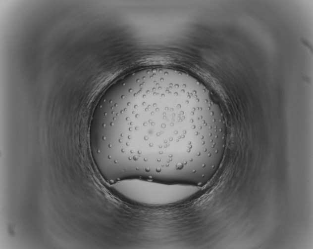 X0000097870529200803140920