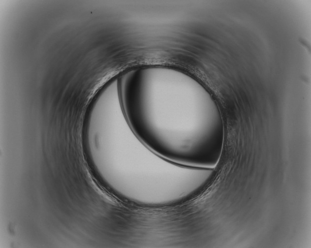 X0000097870530200803140920