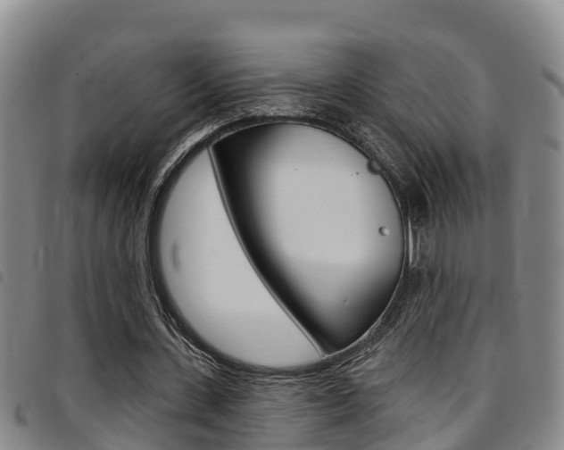 X0000097870531200803140920