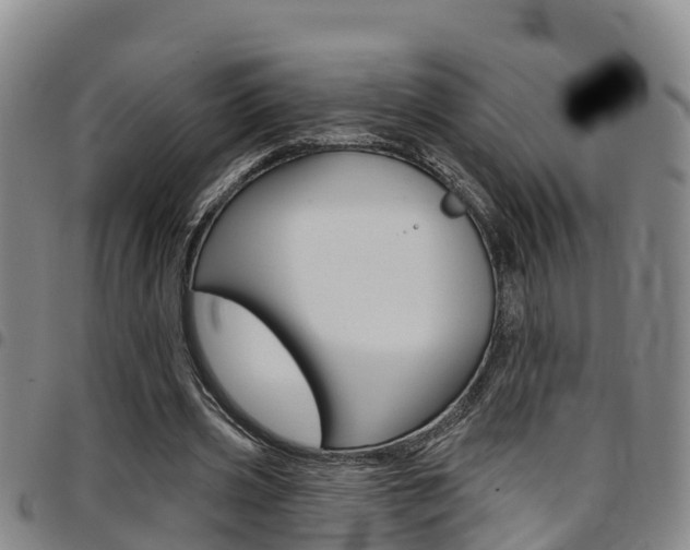 X0000097870533200803140920