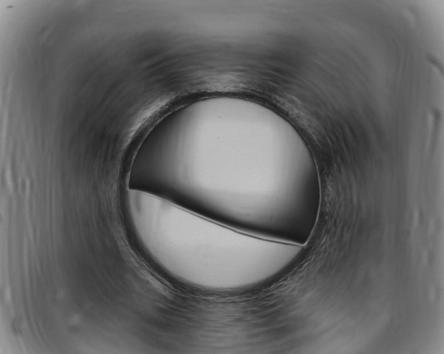 X0000097870535200803140920