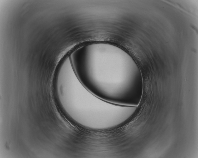 X0000097870536200803140920