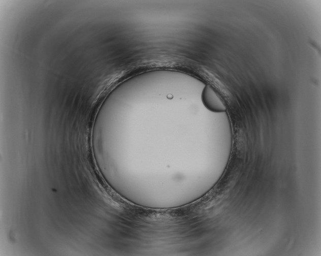 X0000097870537200803140920