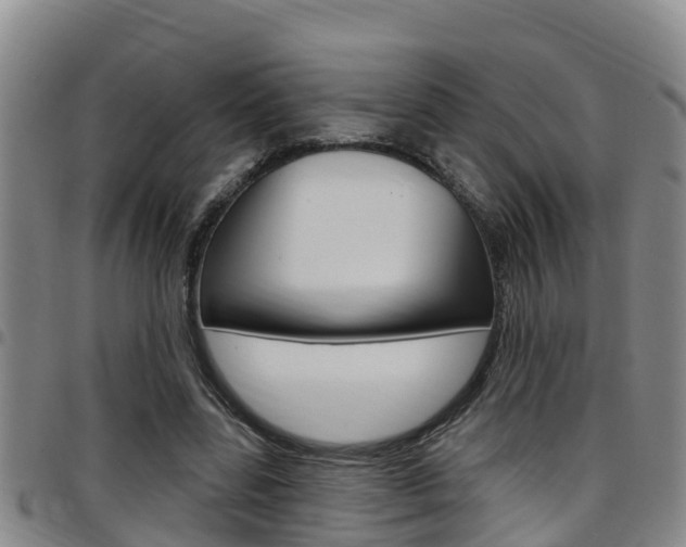 X0000097870539200803140920