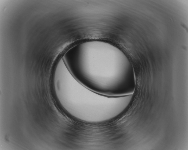 X0000097870540200803140920