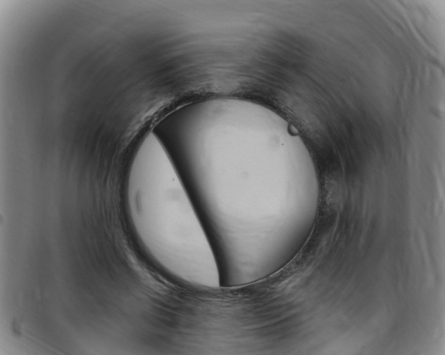 X0000097870542200803140920