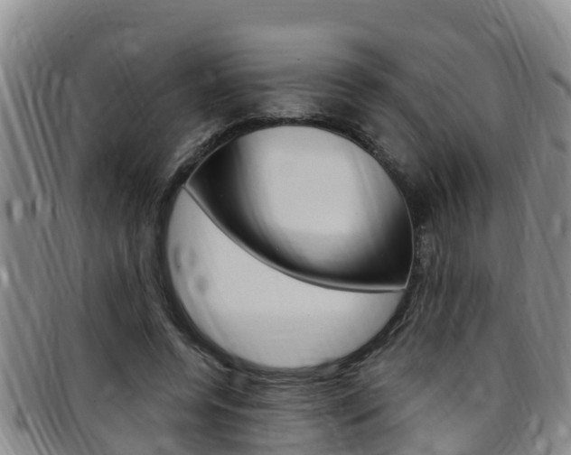 X0000097870544200803140920