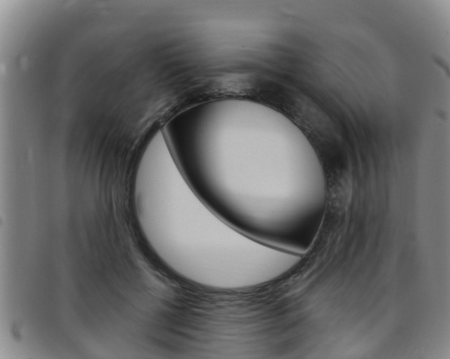 X0000097870552200803140920