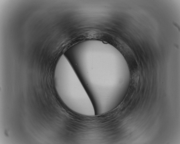 X0000097870554200803140920