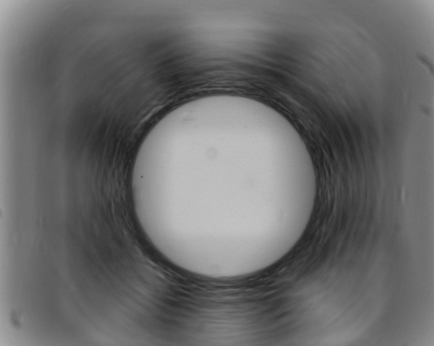 X0000097870556200803140920