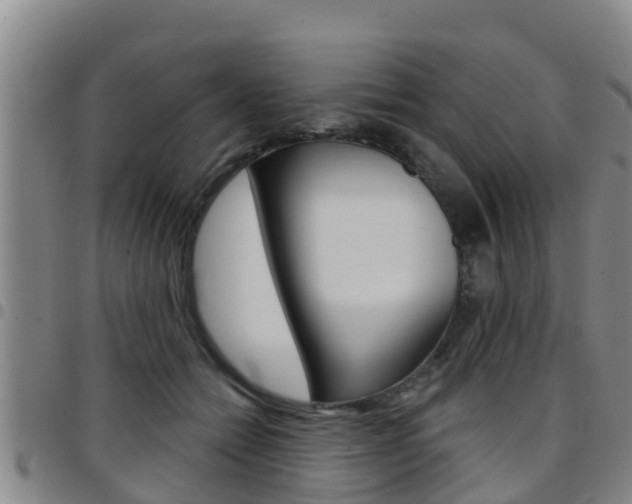 X0000097870558200803140920