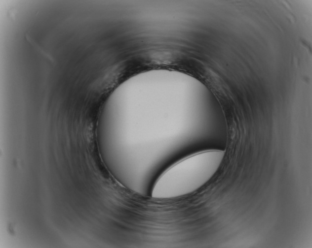 X0000097870559200803140920