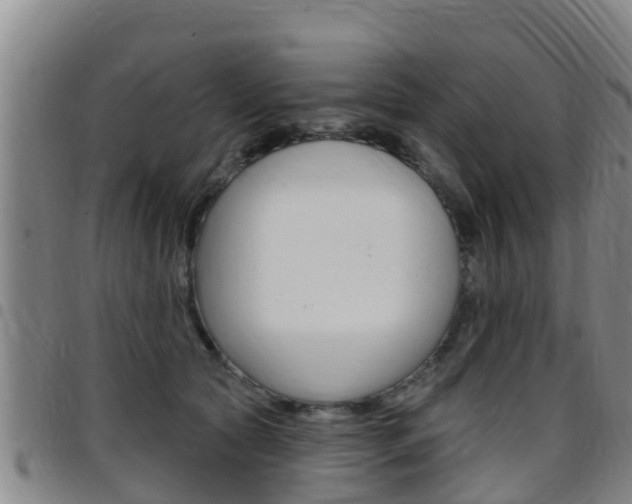 X0000097870561200803140920