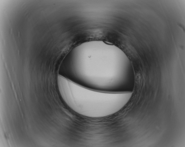 X0000097870564200803140920