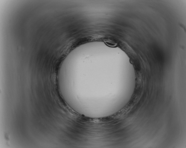 X0000097870565200803140920