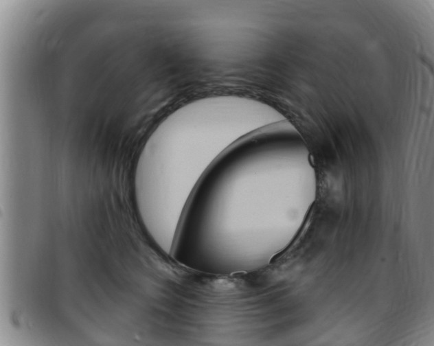 X0000097870566200803140920