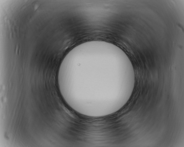 X0000097870568200803140920
