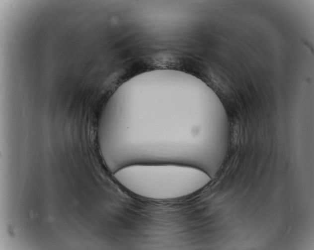 X0000097870569200803140920