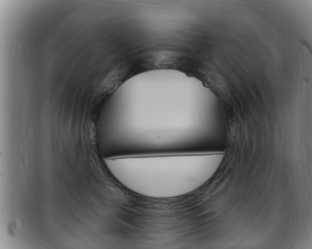 X0000097870571200803140920