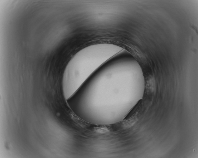 X0000097870572200803140920